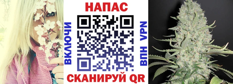 где можно купить   mega ссылки  Бошки марихуана SATIVA & INDICA  Сретенск 